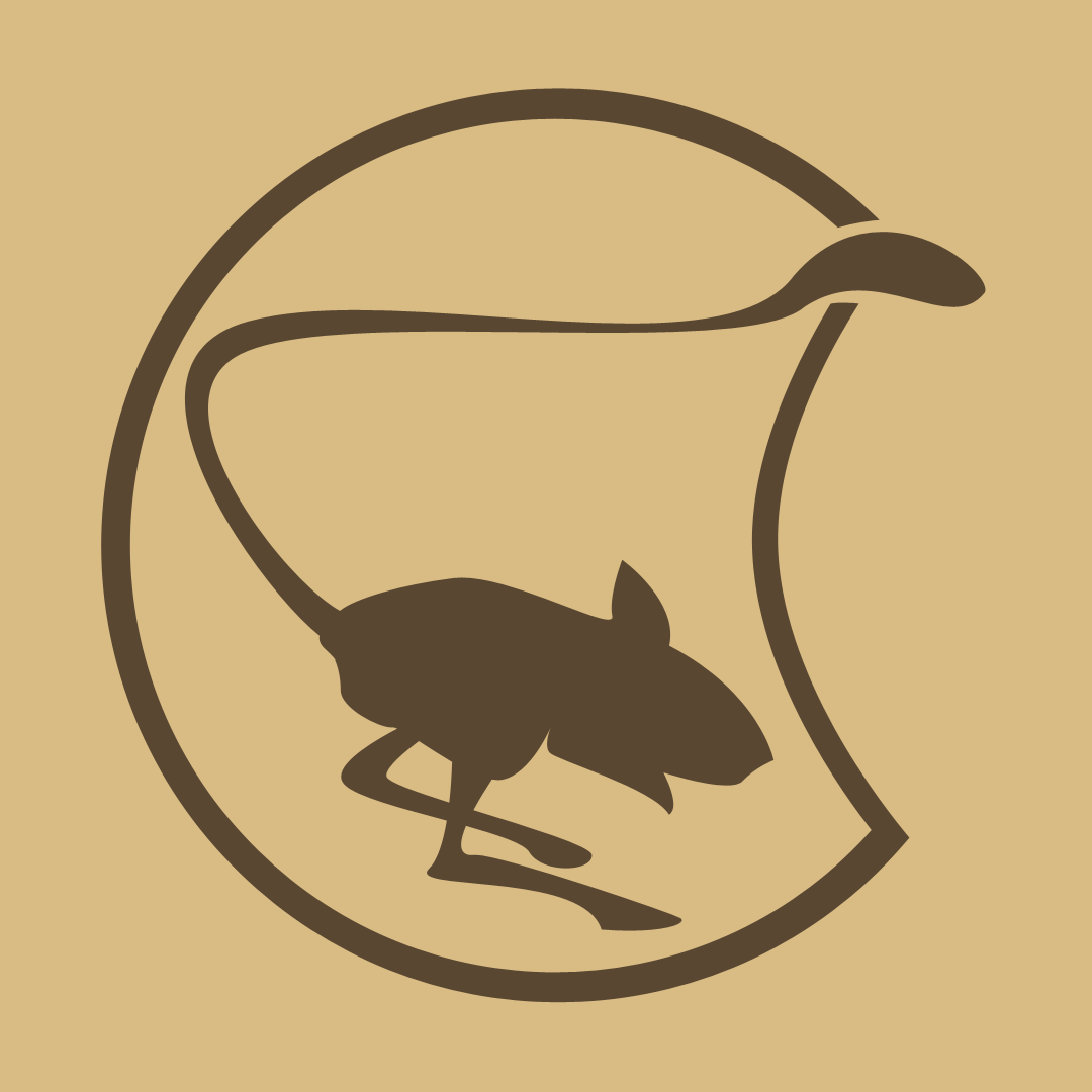 DUNE SF Logo